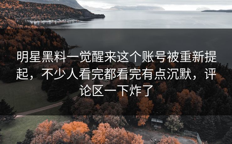 明星黑料一觉醒来这个账号被重新提起，不少人看完都看完有点沉默，评论区一下炸了